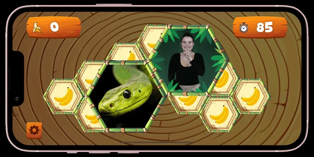 Memory Match board pairing a snake photograph with a Deaf signer on hexagonal tiles, score and timer visible.